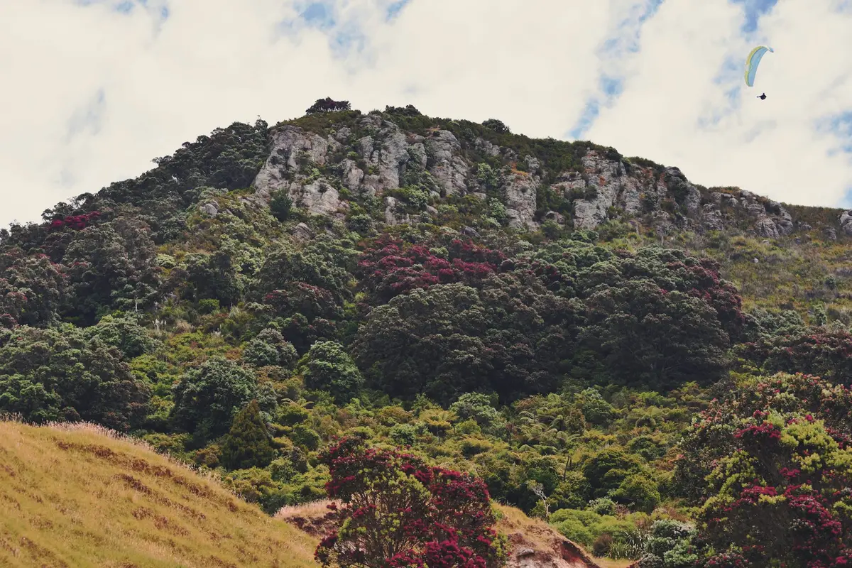 Looking up to the summit of Mauao, Mount Maunganui
